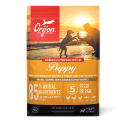 Orijen puppy shop food calories